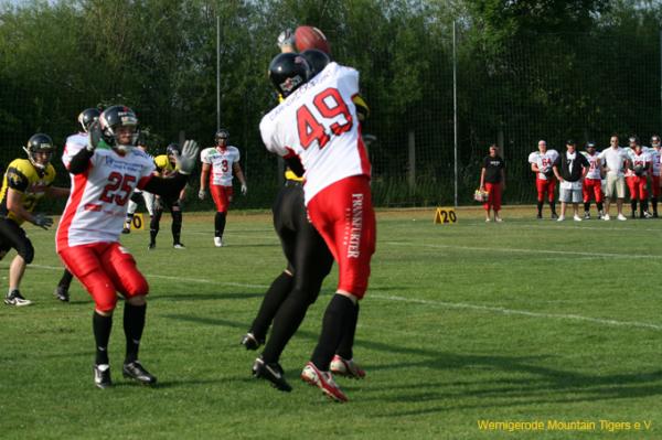 IMG_1375.jpg