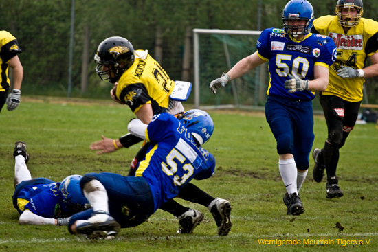 IMG_2413.jpg