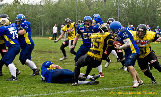 IMG_2559.jpg