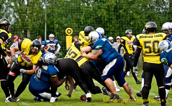 IMG_3015.jpg