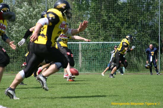 IMG_3064 (1).jpg