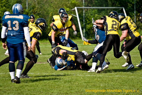 IMG_3237.jpg