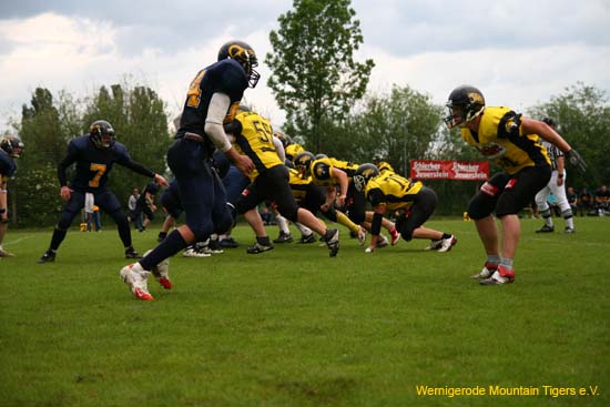 IMG_3356.jpg