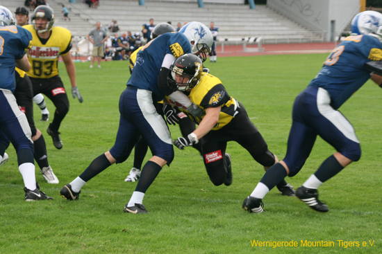 IMG_3555.jpg