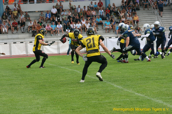 IMG_3570.jpg