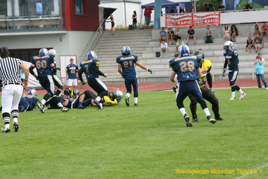 IMG_3593.jpg