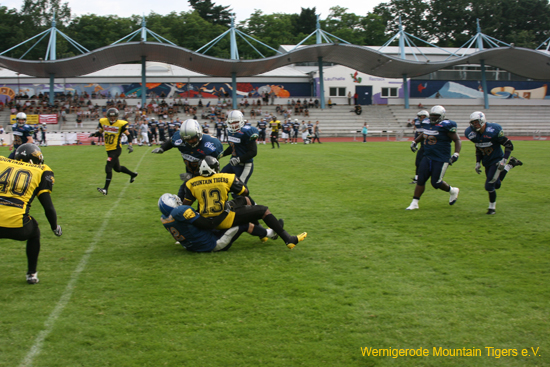 IMG_3597.jpg