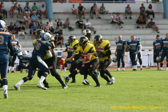 IMG_3611.jpg