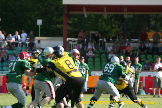 IMG_3974.jpg