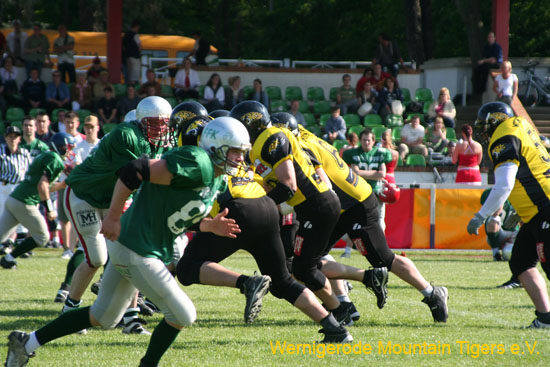 IMG_3980.jpg