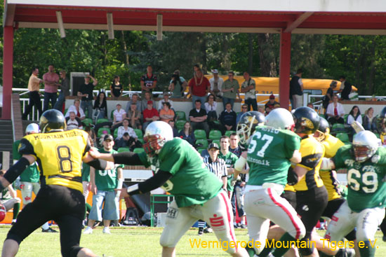 IMG_3982.jpg
