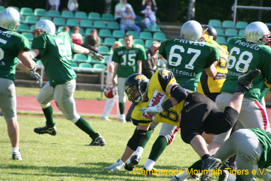 IMG_3988.jpg