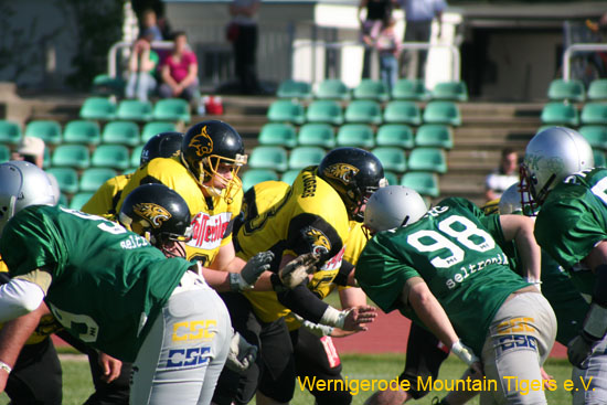 IMG_4146.jpg