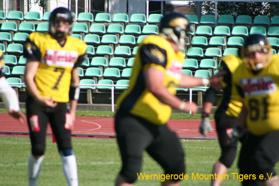 IMG_4167.jpg