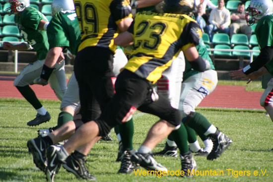 IMG_4208.jpg