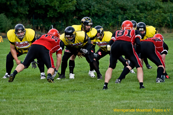 IMG_4304 (1).jpg