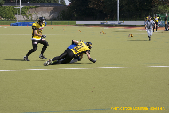 IMG_4307.jpg