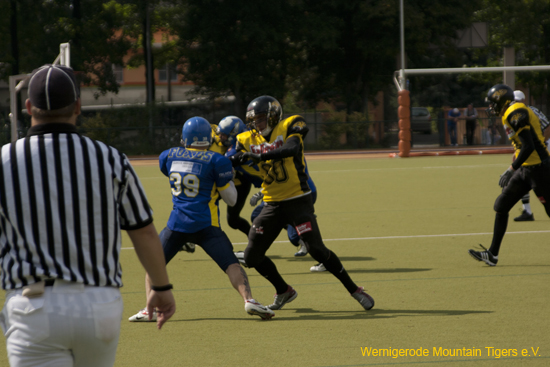 IMG_4336.jpg