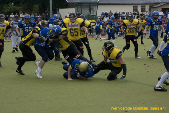 IMG_4368.jpg