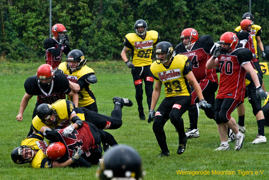 IMG_4487.jpg