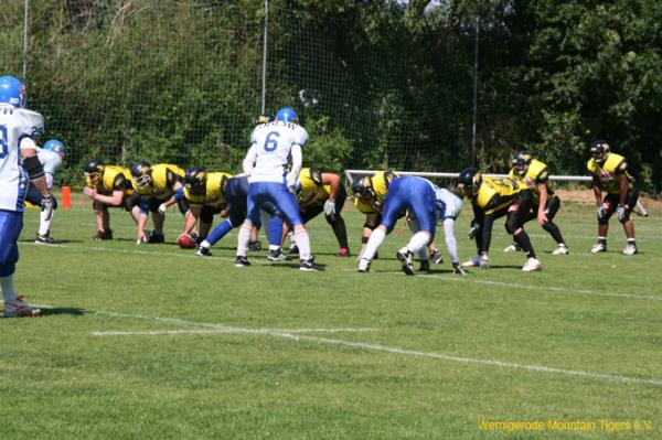 IMG_5352.jpg
