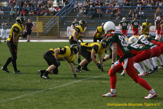 IMG_6133.jpg