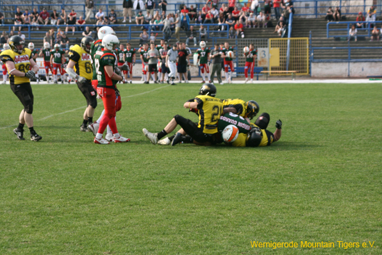 IMG_6138.jpg