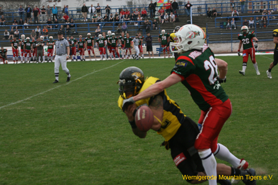IMG_6202.jpg