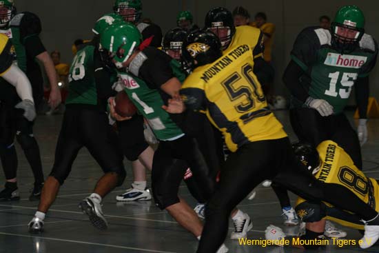 IMG_6338.jpg