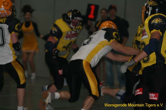 IMG_6595.jpg