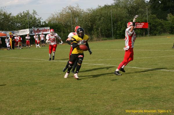 IMG_7666.jpg