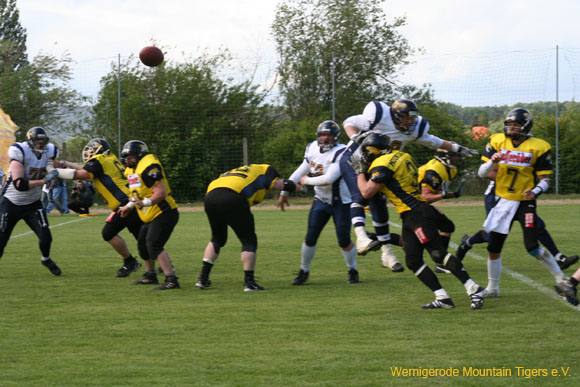IMG_7828.jpg