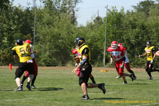 IMG_8611.jpg
