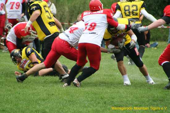 IMG_8733.jpg