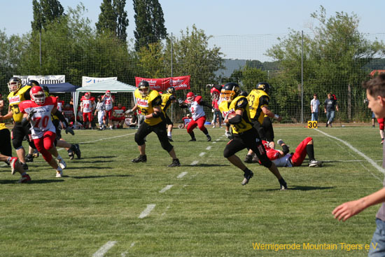 IMG_8735.jpg