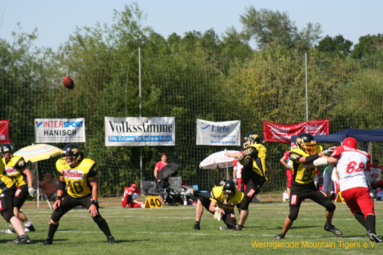 IMG_8776.jpg