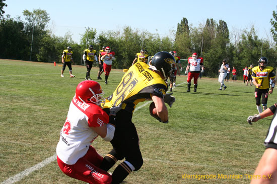 IMG_8785.jpg