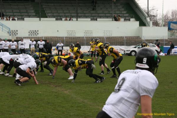 IMG_9093.jpg