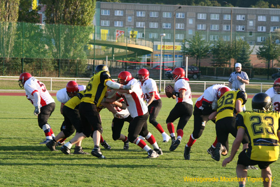 IMG_9278.jpg